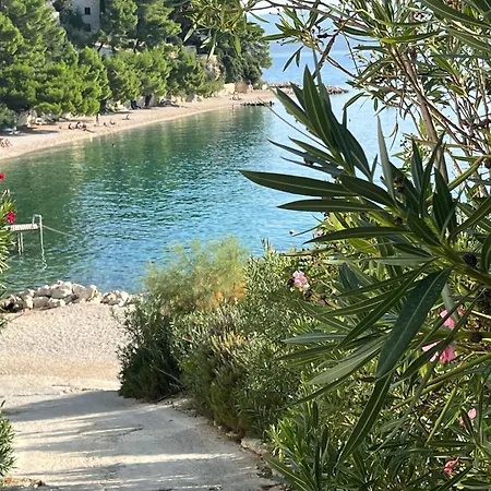 Nemira Ix 12 Vacations Appartamento